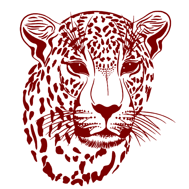 Favicon 1